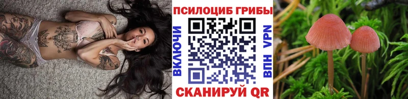 Галлюциногенные грибы MAGIC MUSHROOMS  Купить  Верхоянск 